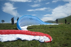 suedafrika_2011_20120104_1720403955