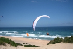 suedafrika_2011_20120116_1888559925