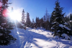 triebenkogel_05k_20110130_1164133965