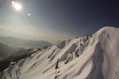 bischling_1222012_20120212_1021268880