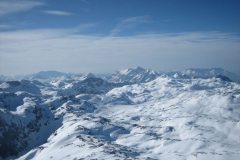 bischling_20120319_1724444664