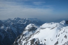 bischling_20120319_1951324252