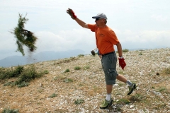 die_spiele_moegen_beginnen_geballte_energie_20120514_2079873221