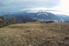 gesaeuse_27112012_20121127_1571792853