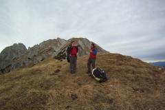 gesaeuse_27112012_20121127_1840086420