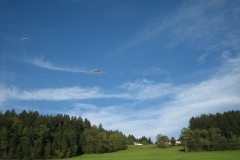 oedt_6-10_2012_20121007_1267768882