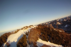 schoberstein_14122012_20121214_1160991757