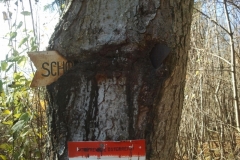 schoberstein_181113_20131118_1021181820