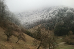 schoberstein_19122013_20131219_1633431582