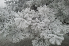 schoberstein_19122013_20131219_1816834454