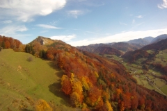 schoberstein_22102013_20131022_2022381360