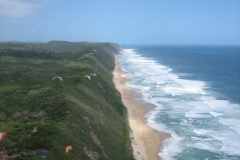 suedafrika2013_20130304_1039132552