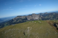 _goldener_herbst_20141020_1428665475