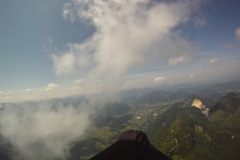 herndleck_04062014_20140605_2070476213