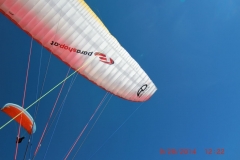 loser_20140930_1577308866