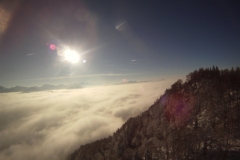 schoberstein_29012014_20140130_1498099970