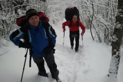 schoberstein_29012014_20140130_1768638202