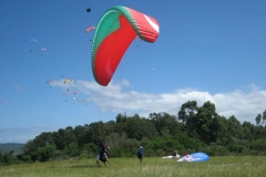 suedafrika_2014_20140217_1080481442