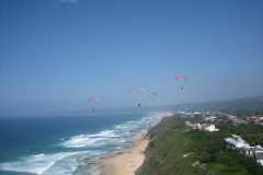 suedafrika_2014_20140219_1804162726