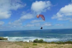 suedafrika_2014_20140219_2023478143