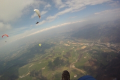 ternberg_28032014_20140328_1122119958