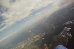 ternberg_28032014_20140328_1939233021