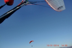 und_noch_ein_ausflug_20141102_1513018259