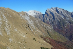 bella_italia__20151028_1576507806