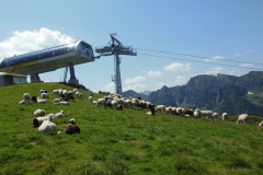 hauser_kaibling_juli_2015__20150720_1250827650