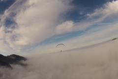 schoberstein_22012015_20150131_1512100497