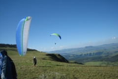 suedafrika_2015_20150223_1958248280