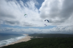 suedafrika_2015_20150225_1187559816