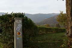 25.10.2015 in Avinio