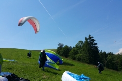 07.06.2016 Burg Md und Kronbauer