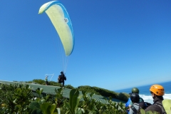 07.03.2016 Südafrika