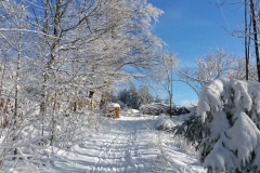 29.12.2016 Startbild Galerie 2017