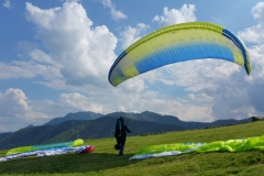 18.05.2017 Kronbauer