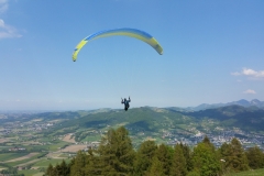 18.05.2017 Kronbauer