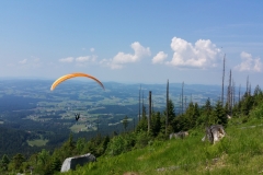 03.06.2017 am Hufberg