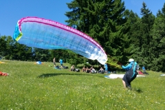 15.06.2017 am Herndleck