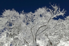 10.01.2017 Schoberstein