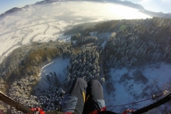 20.01.2017 Kronbauer