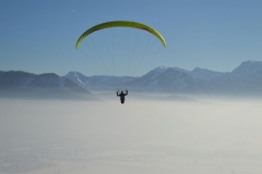 20.01.2017 Kronbauer