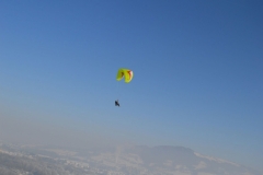 20.01.2017 Kronbauer