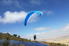 14.02.2017 Südafrika