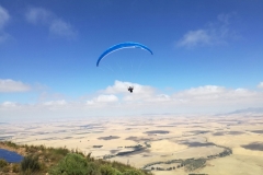 14.02.2017 Südafrika