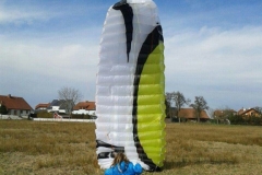 03.03.2017 auf der Nachbarwiese