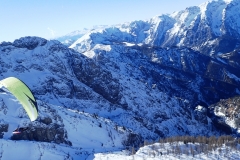 Autor Willi 19.02. Höss