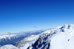 Autor Willi 19.02. Höss