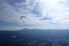 Autor Willi 25.02. Osser